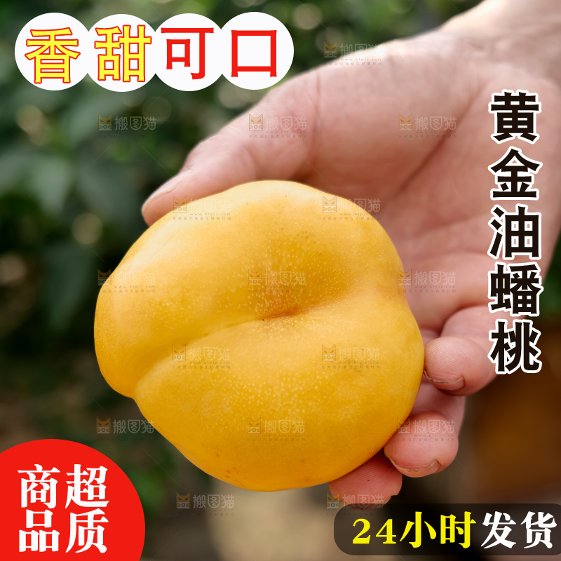 黄油蟠桃