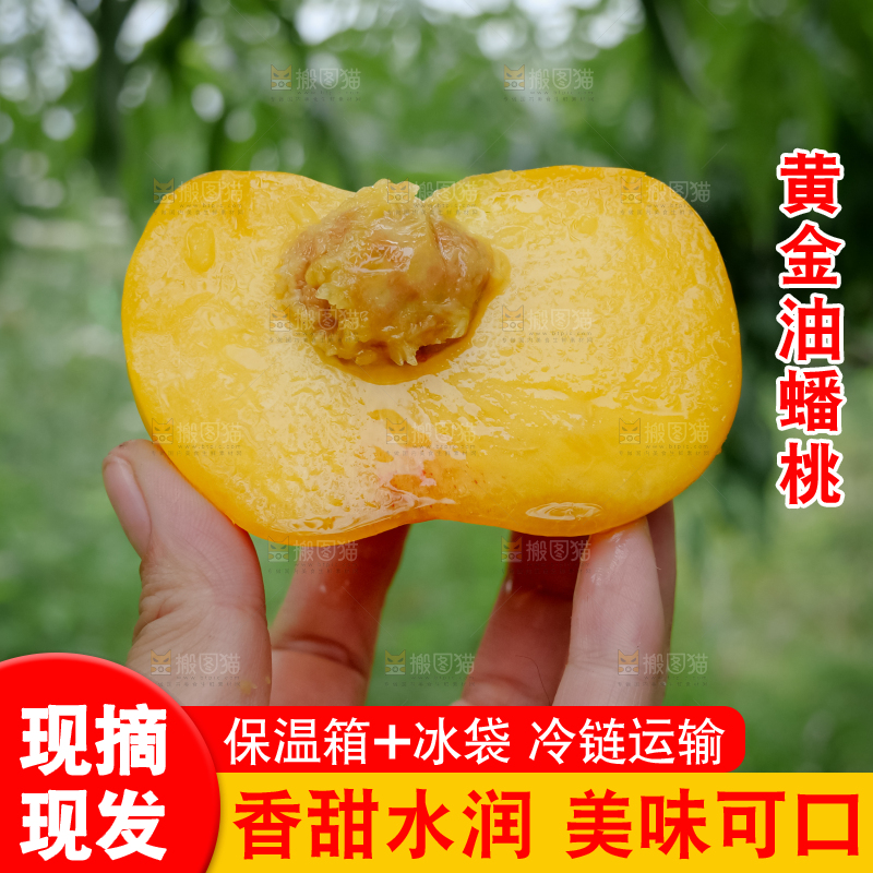 黄油蟠桃