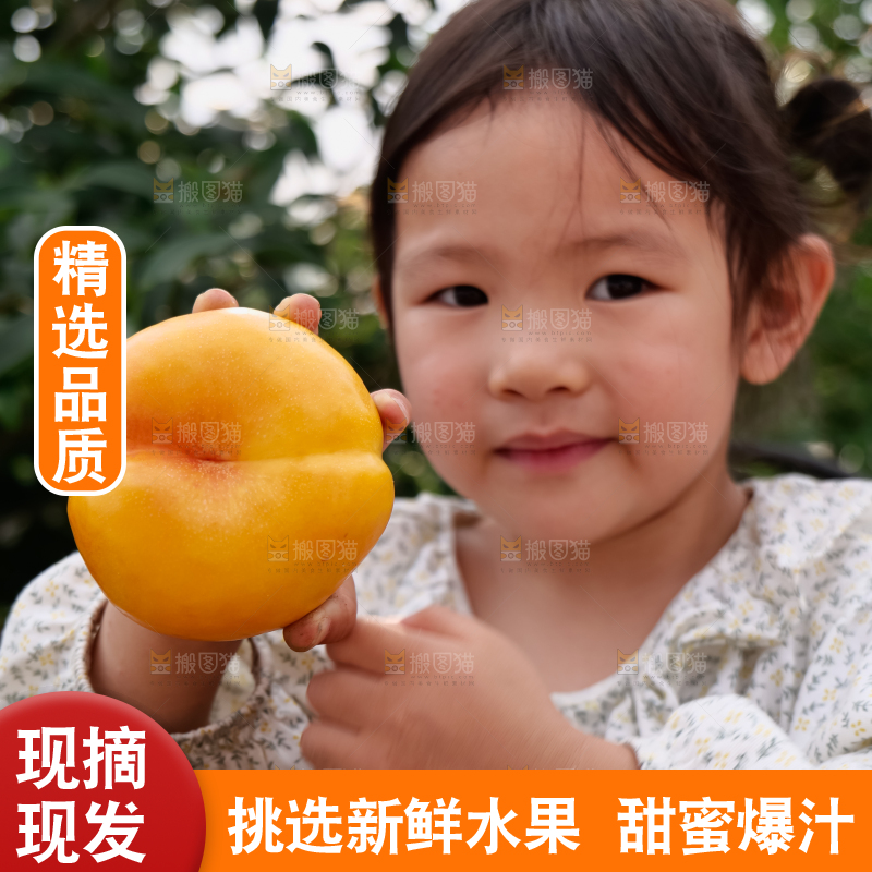 黄油蟠桃