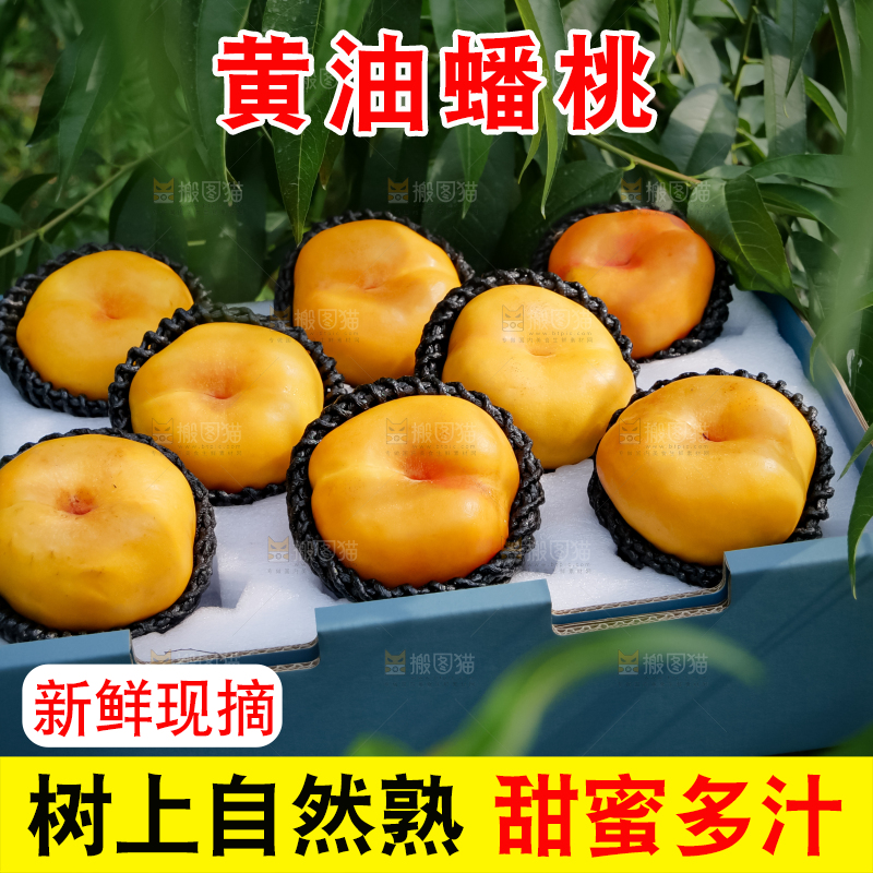 黄油蟠桃