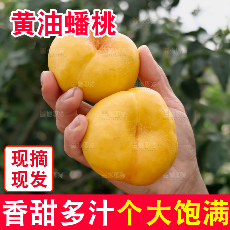 黄油蟠桃