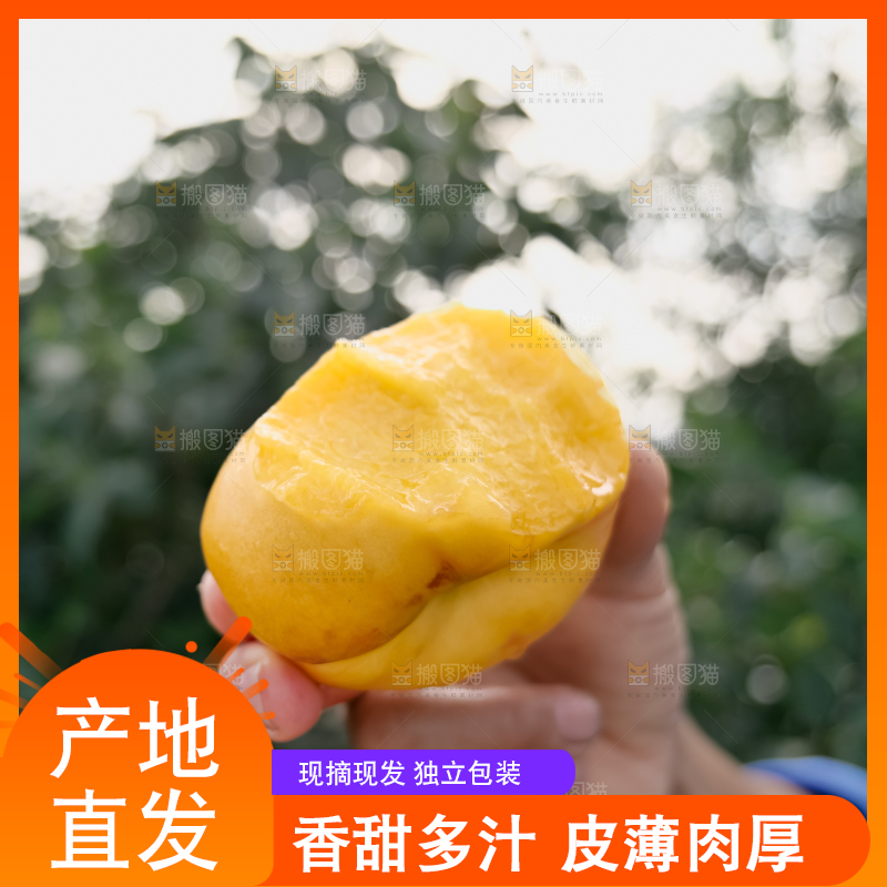 黄油蟠桃