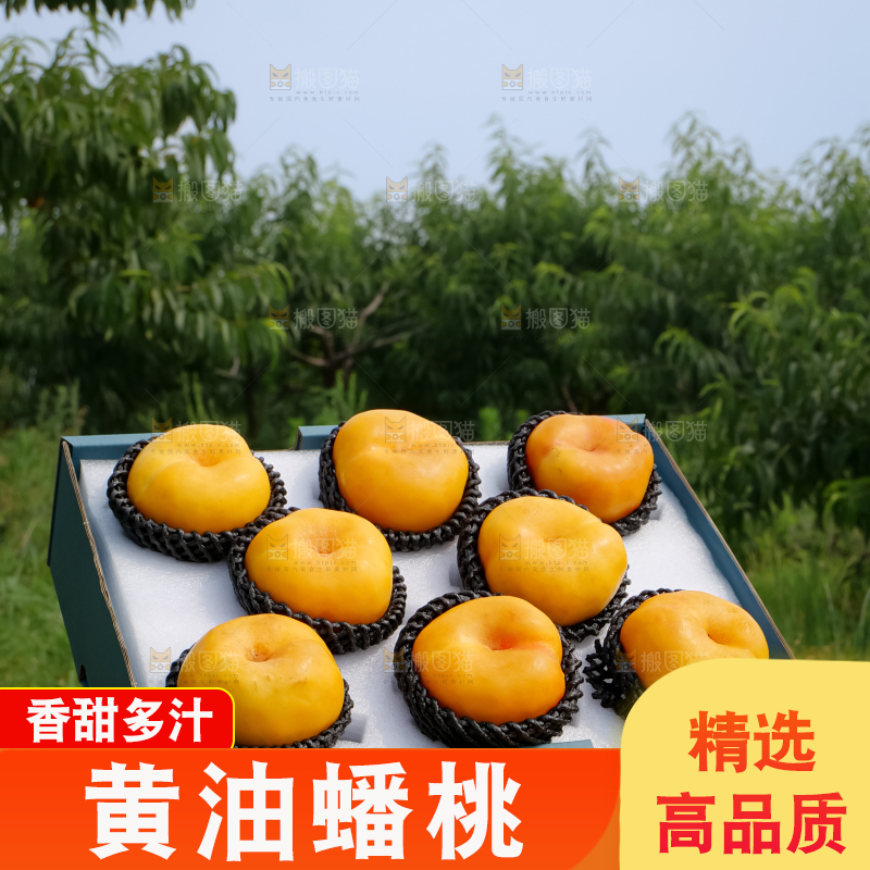 黄油蟠桃