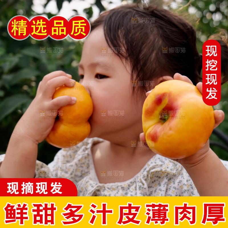 黄油蟠桃