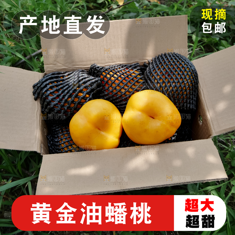 黄油蟠桃