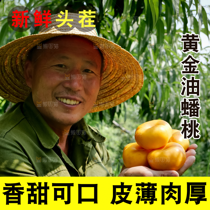 黄油蟠桃