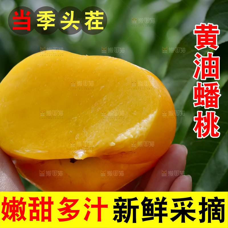 黄油蟠桃