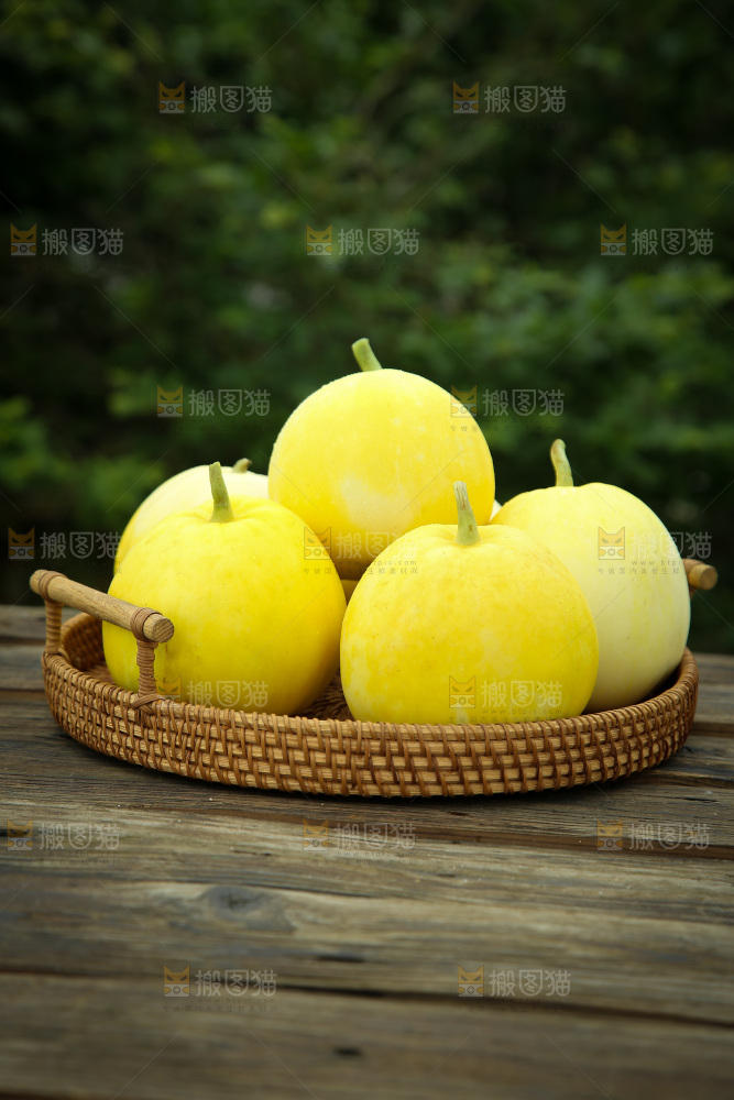 小蜜蜂甜瓜