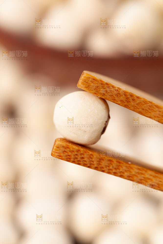 干莲子
