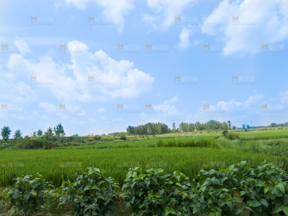 田园风光