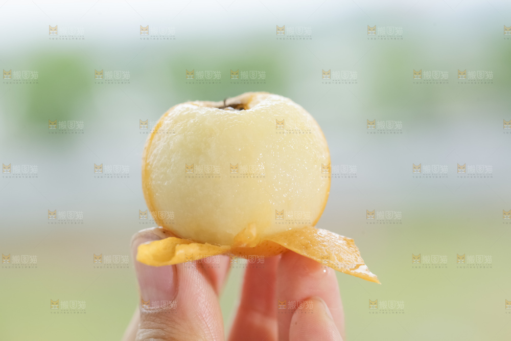 白玉枇杷