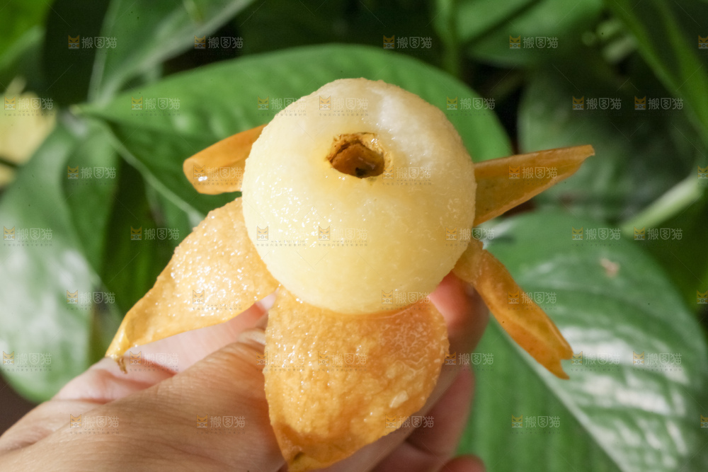 白玉枇杷