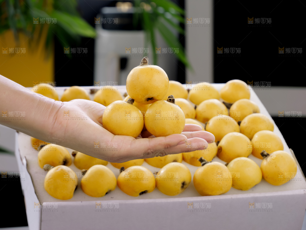 白玉枇杷