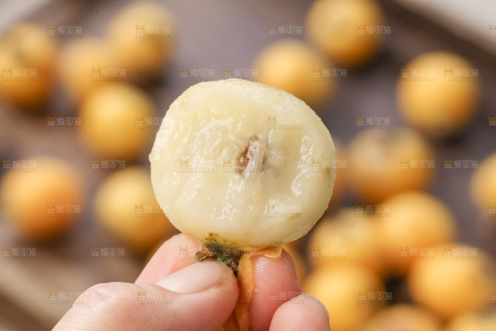 白玉枇杷