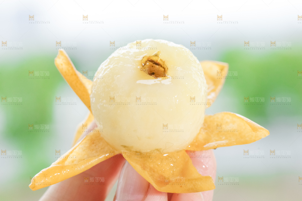 白玉枇杷