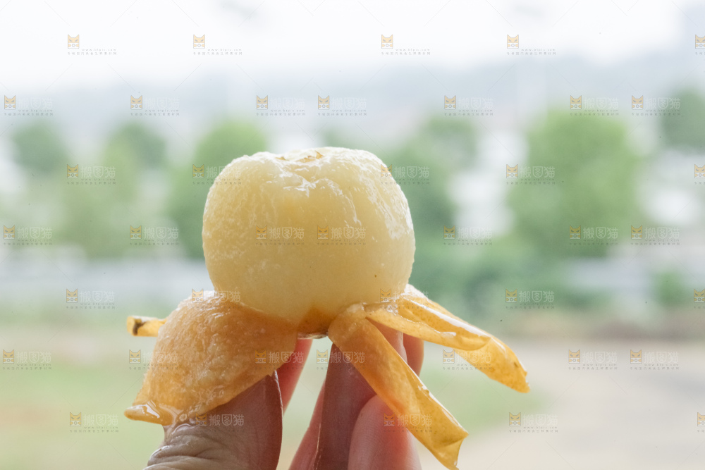 白玉枇杷