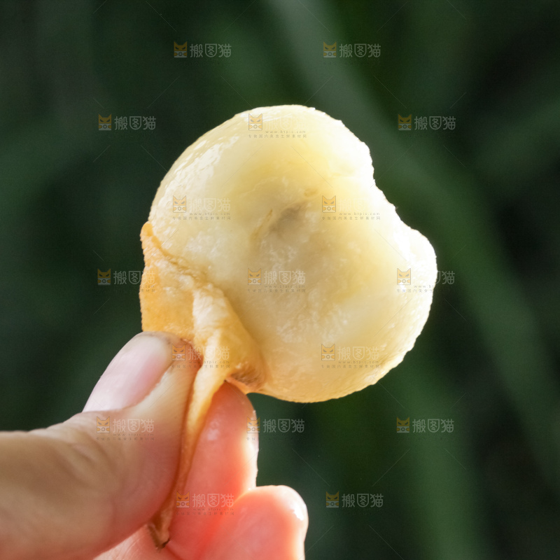 白玉枇杷