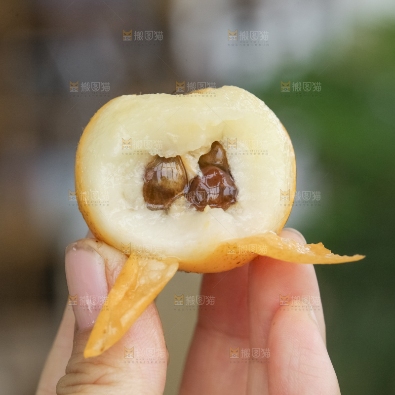 白玉枇杷