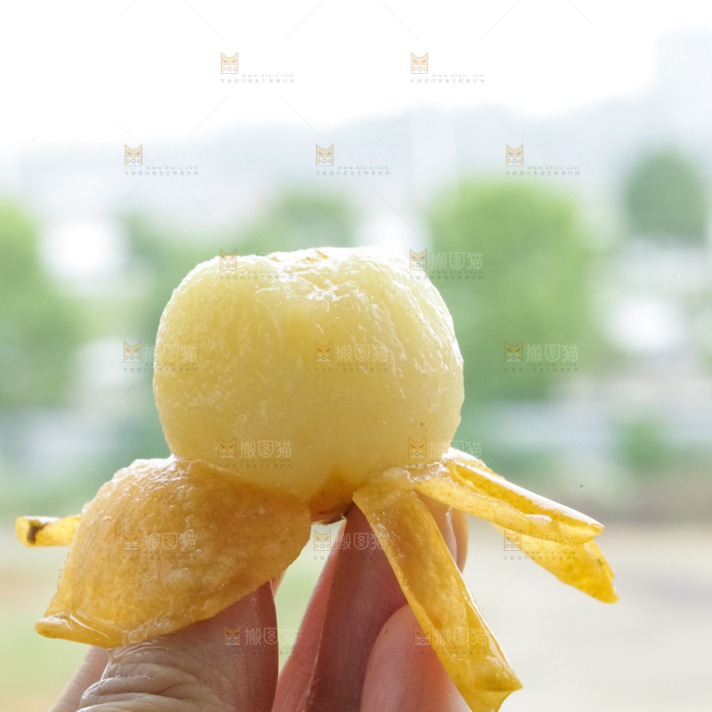 白玉枇杷