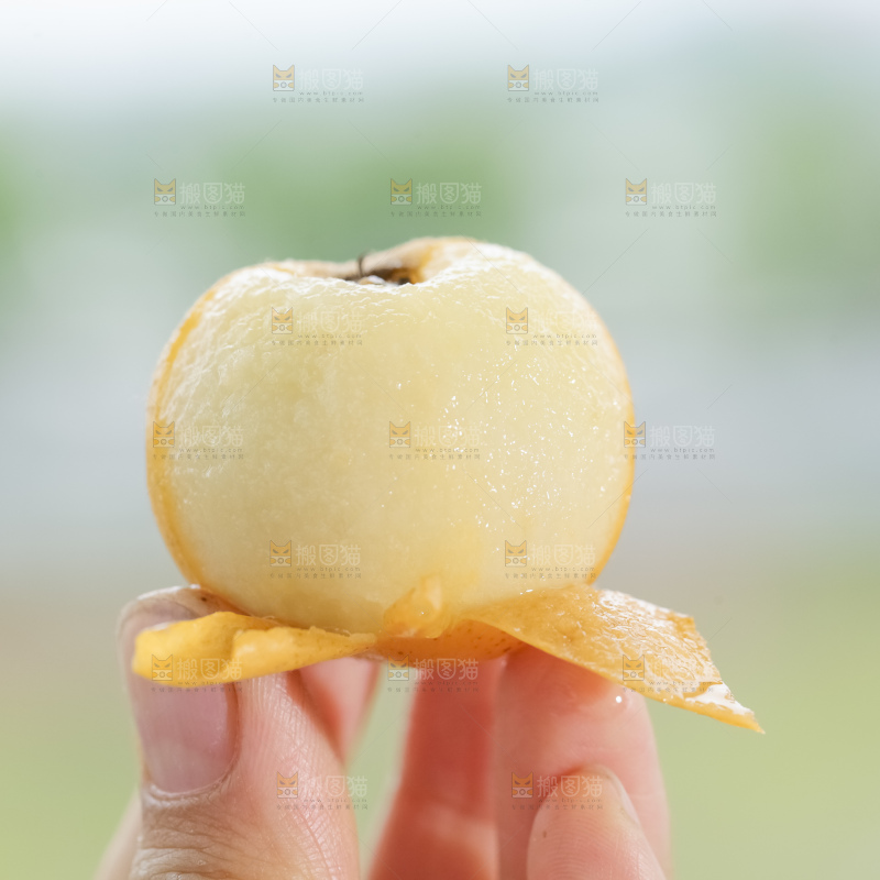 白玉枇杷