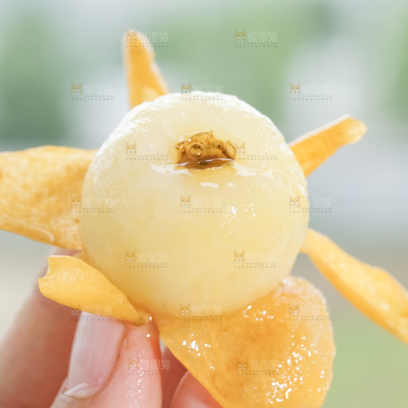 白玉枇杷