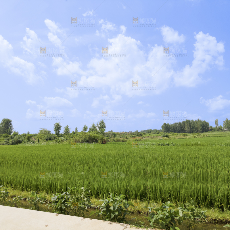 田园风光