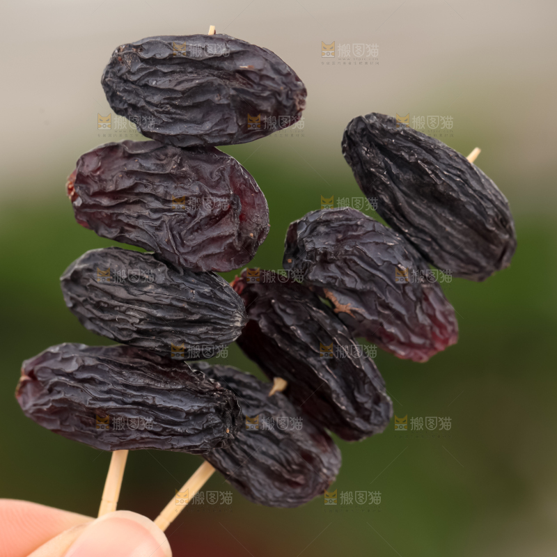 黑加仑葡萄干