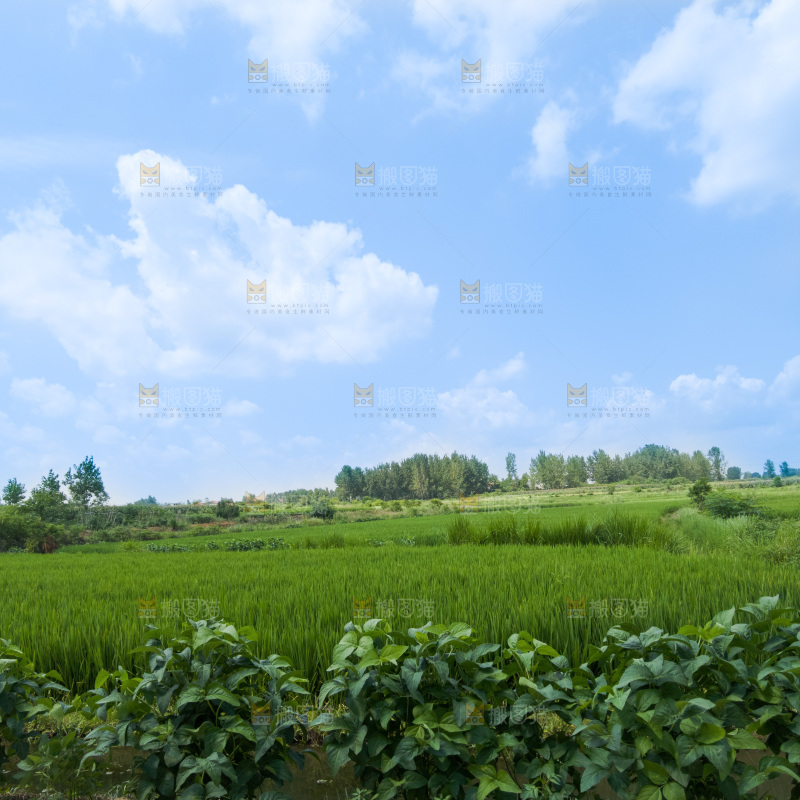 田园风光