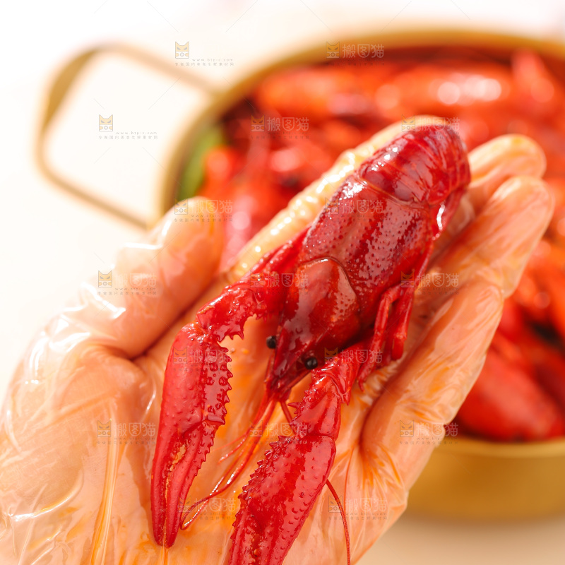 麻辣小龙虾