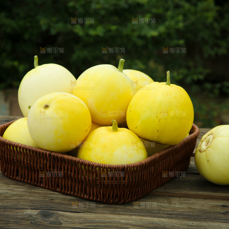 小蜜蜂甜瓜