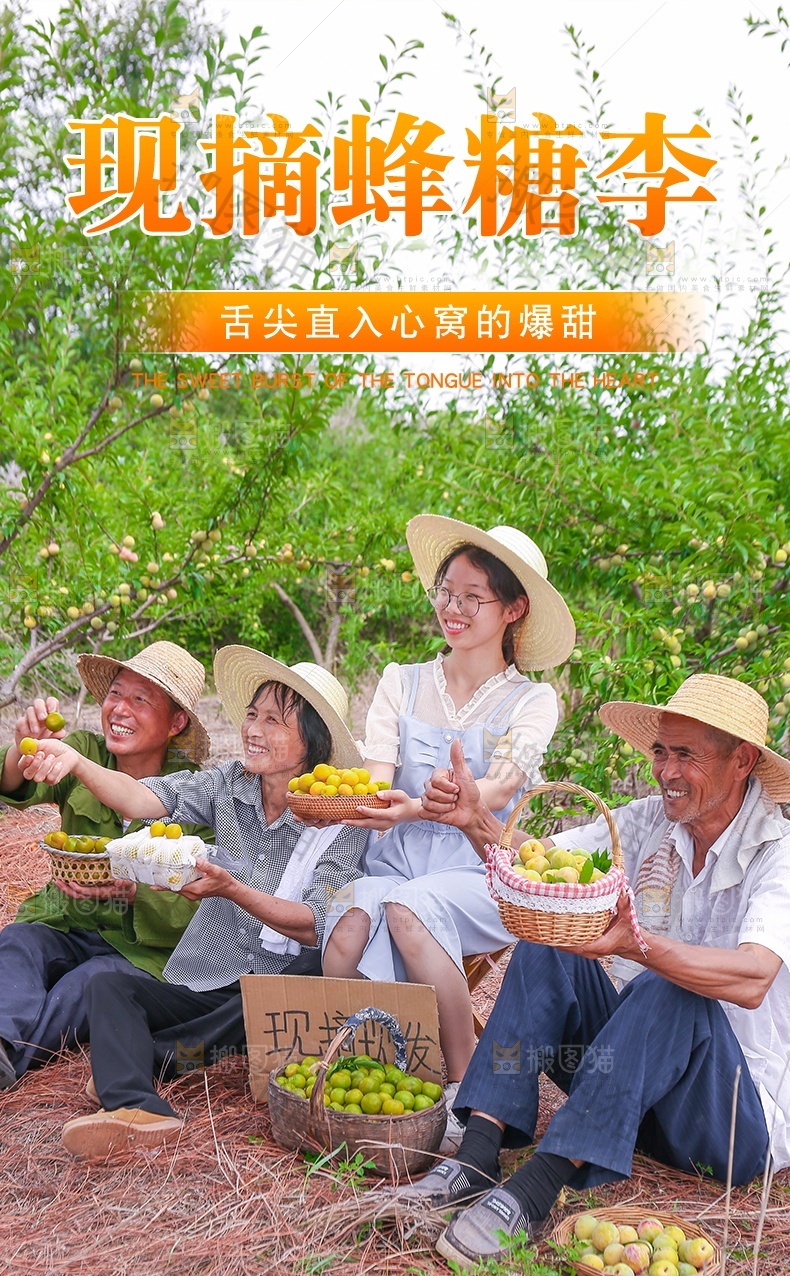 蜂糖李详情页