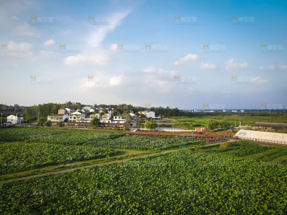 田园风光