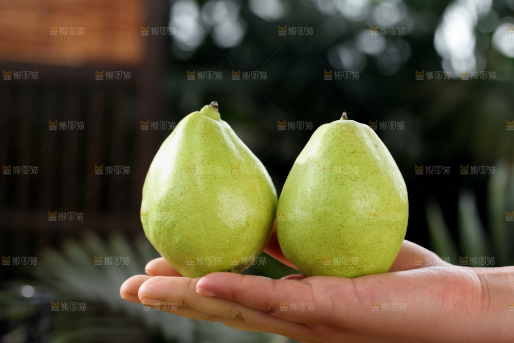 库尔勒香梨