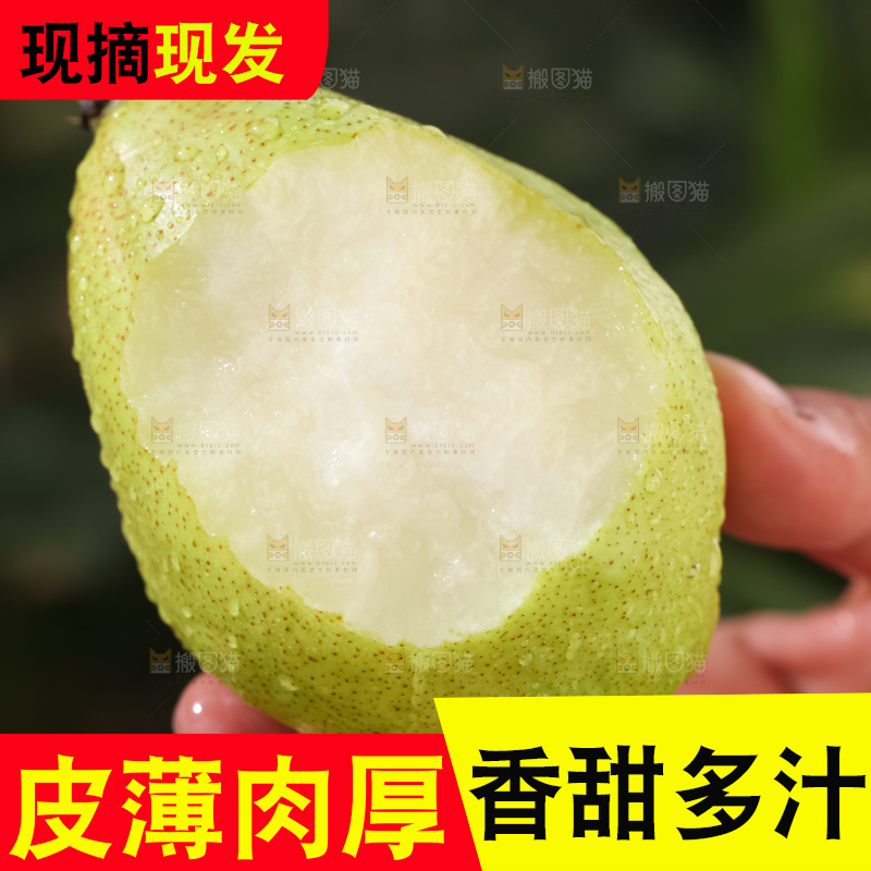 库尔勒香梨