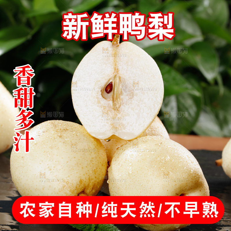 鸭梨