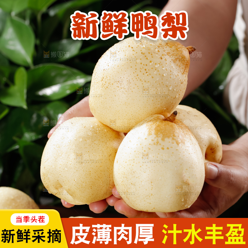 鸭梨