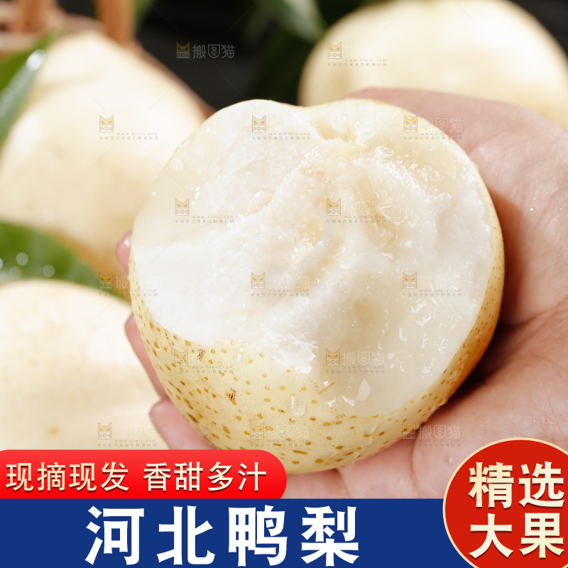 鸭梨
