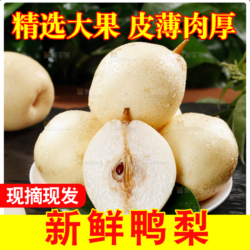 鸭梨