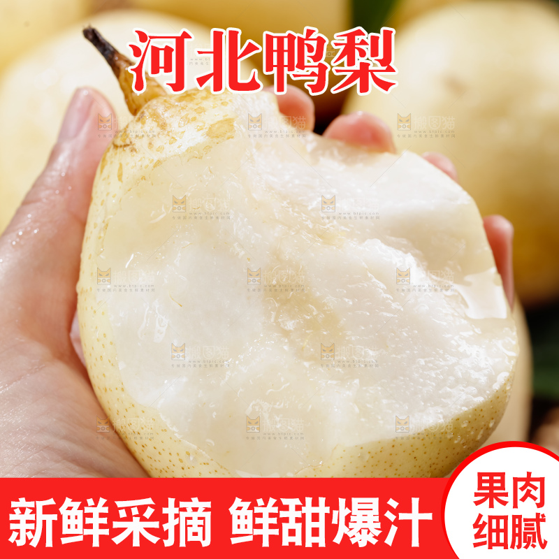 鸭梨