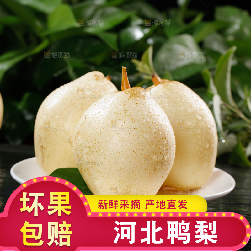 鸭梨
