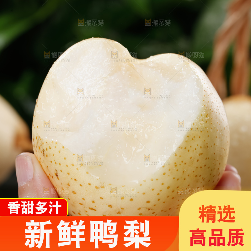 鸭梨