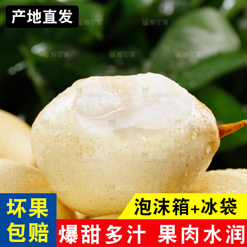 鸭梨