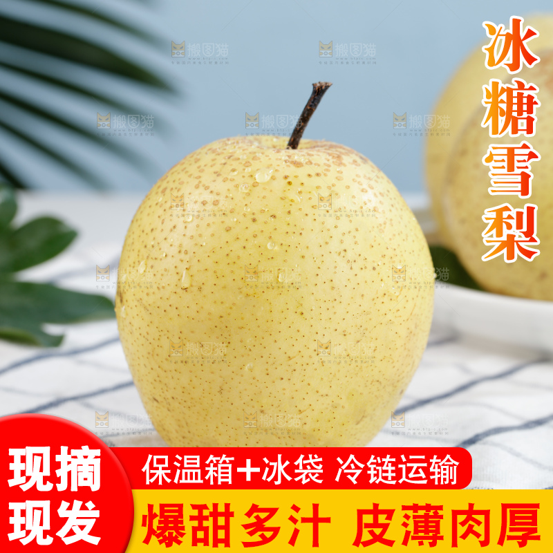 雪梨