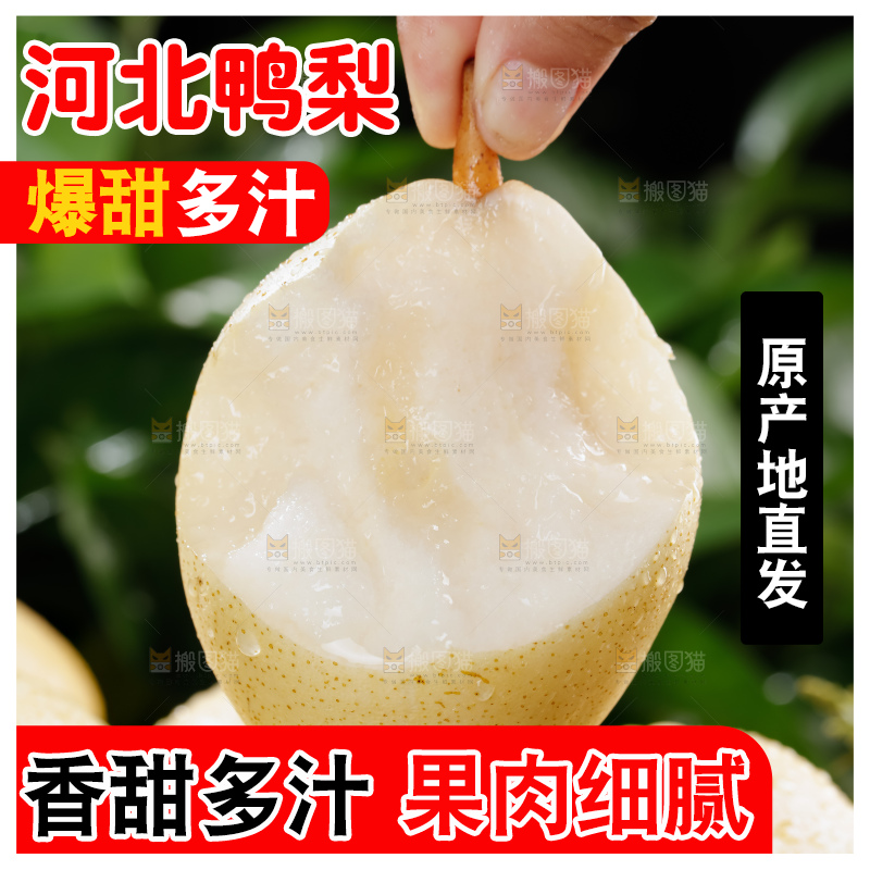 鸭梨