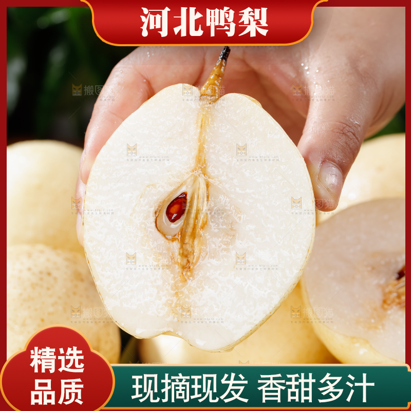 鸭梨