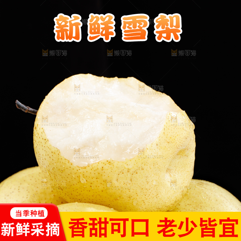 雪梨