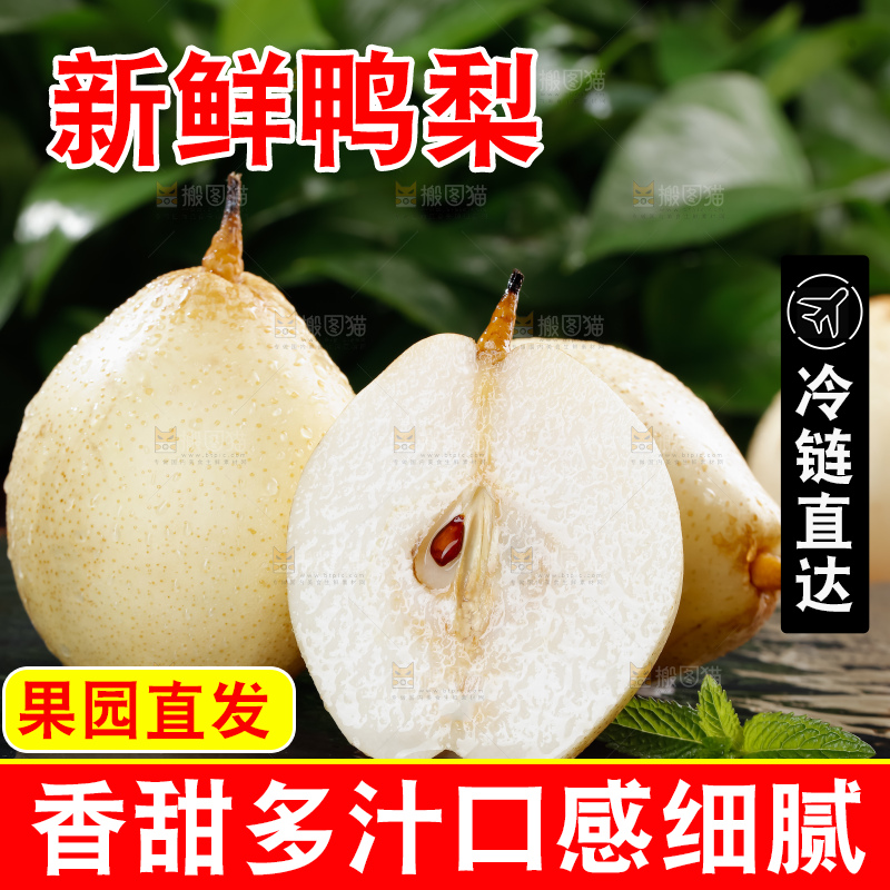 鸭梨