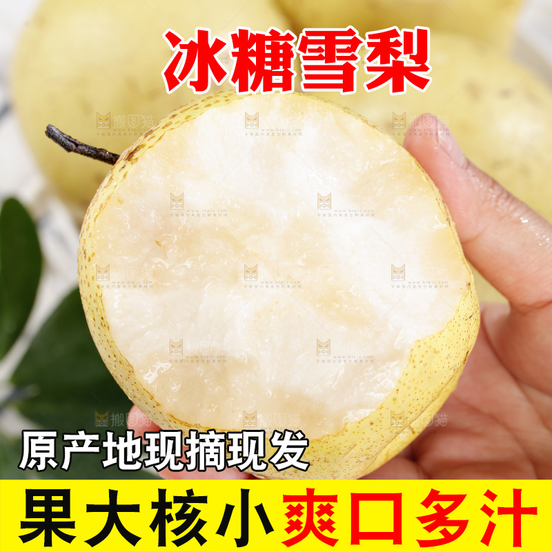 雪梨