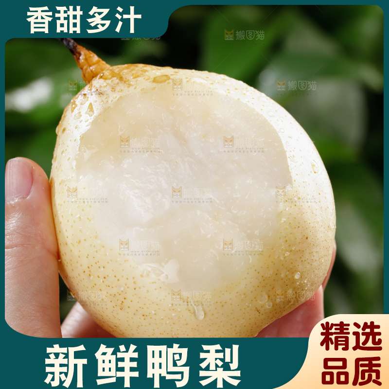 鸭梨