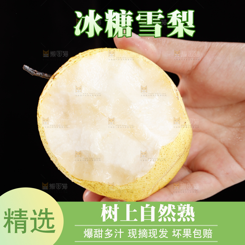 雪梨